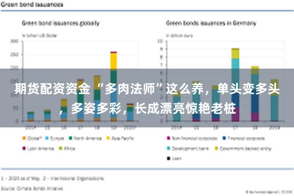 期货配资资金 “多肉法师”这么养，单头变多头，多姿多彩，长成漂亮惊艳老桩