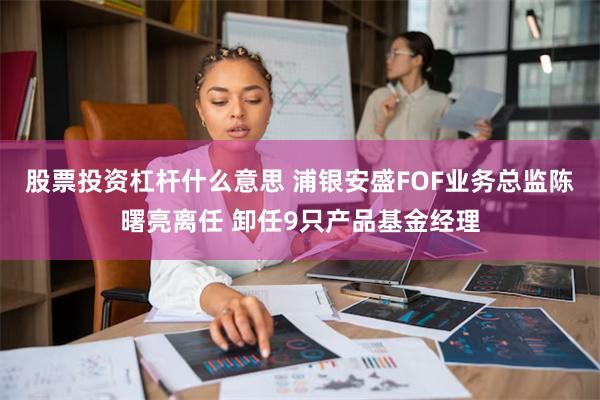 股票投资杠杆什么意思 浦银安盛FOF业务总监陈曙亮离任 卸任9只产品基金经理