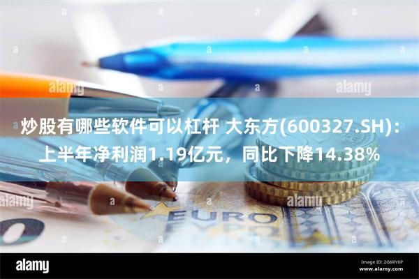 炒股有哪些软件可以杠杆 大东方(600327.SH)：上半年净利润1.19亿元，同比下降14.38%