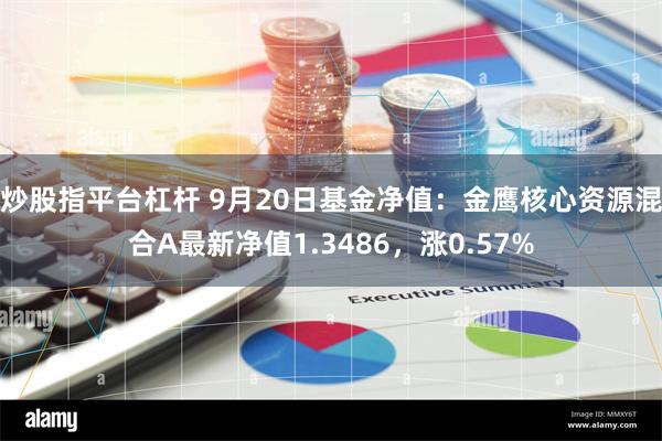 炒股指平台杠杆 9月20日基金净值：金鹰核心资源混合A最新净值1.3486，涨0.57%