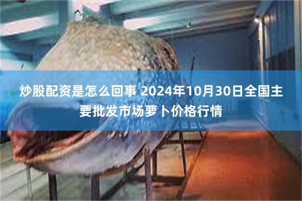 炒股配资是怎么回事 2024年10月30日全国主要批发市场萝卜价格行情