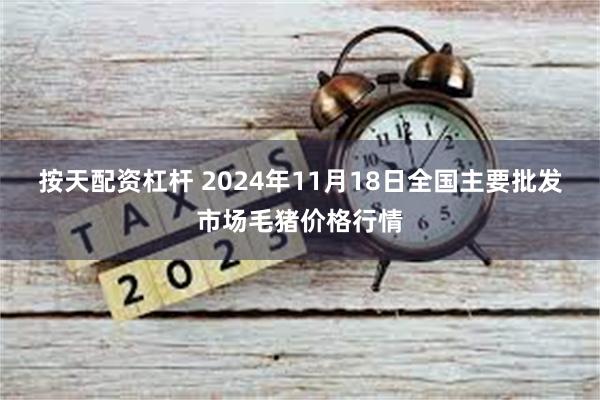 按天配资杠杆 2024年11月18日全国主要批发市场毛猪价格行情