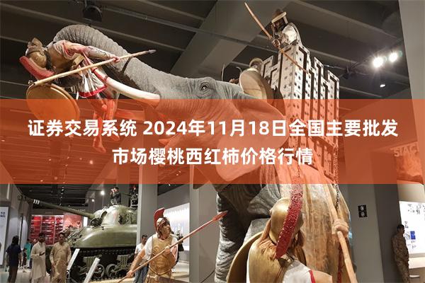 证券交易系统 2024年11月18日全国主要批发市场樱桃西红柿价格行情