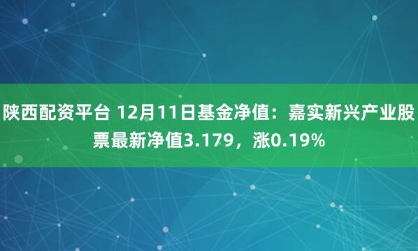 陕西配资平台 12月11日基金净值：嘉实新兴产业股票最新净值3.179，涨0.19%