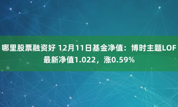 哪里股票融资好 12月11日基金净值：博时主题LOF最新净值1.022，涨0.59%