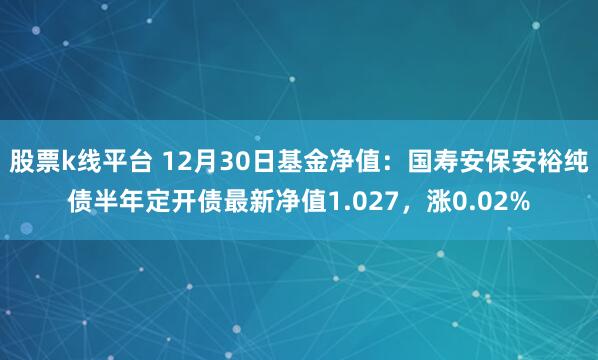 股票k线平台 12月30日基金净值：国寿安保安裕纯债半年定开债最新净值1.027，涨0.02%