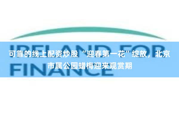 可靠的线上配资炒股 “迎春第一花”绽放，北京市属公园蜡梅迎来观赏期