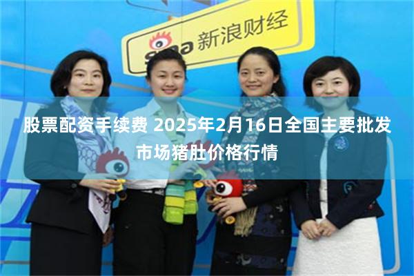 股票配资手续费 2025年2月16日全国主要批发市场猪肚价格行情