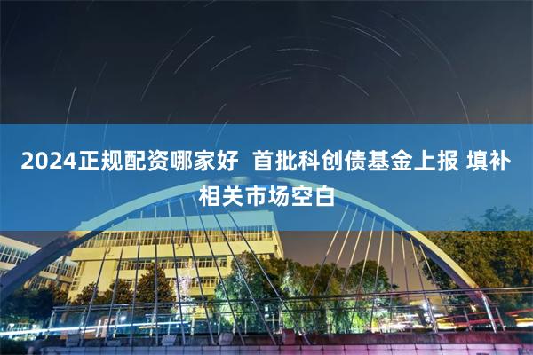 2024正规配资哪家好  首批科创债基金上报 填补相关市场空白